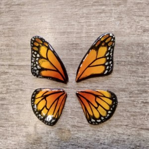 clases de cerámica Madrid mariposa